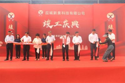 應城新景科技有限公司竣工